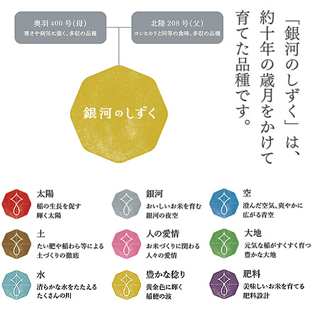 白米 岩手県産 銀河のしずく 900g 特A評価 令和5年産