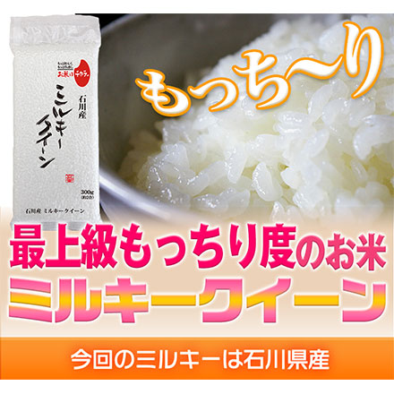 白米 石川県産 ミルキークイーン 900g 生産者指定米 令和5年産