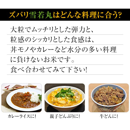 新米 白米 山形県産 雪若丸 900g 特A評価 令和6年産