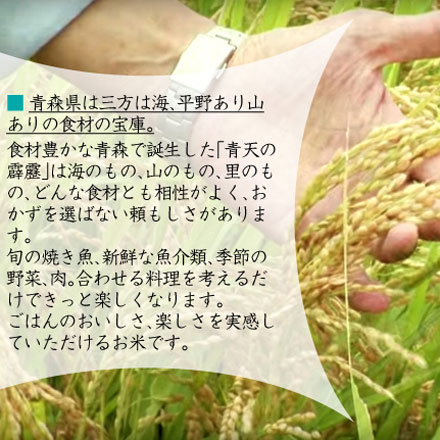 新米 白米 青森県産 青天の霹靂 2kg 令和6年産