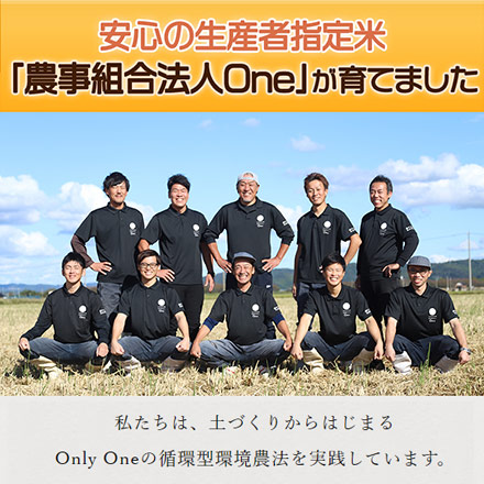 白米 石川県産 ミルキークイーン 6kg 2kg×3袋 生産者指定米 令和6年産