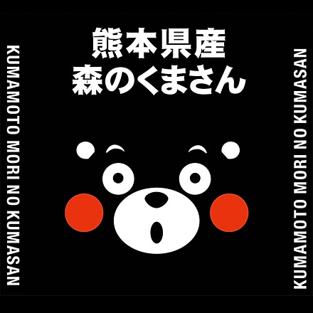 白米 熊本県産 森のくまさん 2kg×1袋 令和7年産