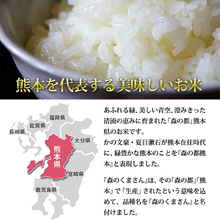 白米 熊本県産 森のくまさん 2kg×12袋 24kg 令和7年産