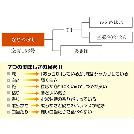 玄米 北海道産 ななつぼし 24kg 2kg×12袋 特A評価 令和6年産