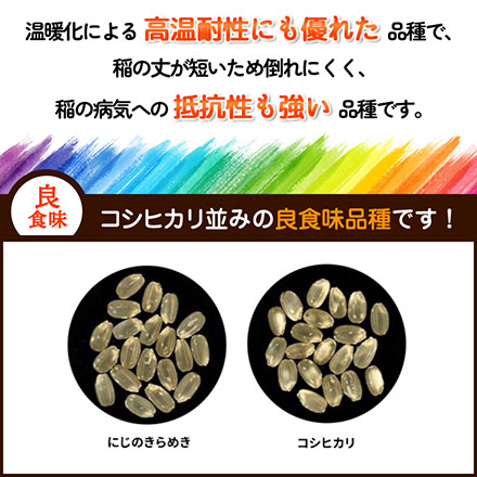 白米 香川県産 にじのきらめき 24kg 2kg×12袋 令和5年産