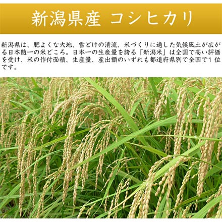 白米 新潟県産 コシヒカリ 24kg 2kg×12袋 令和7年産