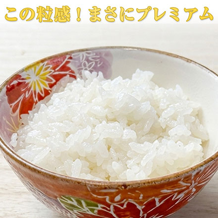 白米 プレミアムライスシリーズ 島根県産 きぬむすめ 10kg 2kg×5袋 令和7年産