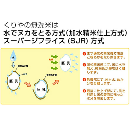 白米 くりやの無洗米 6kg 2kg×3袋 群馬県産 いなほっこり 令和6年産