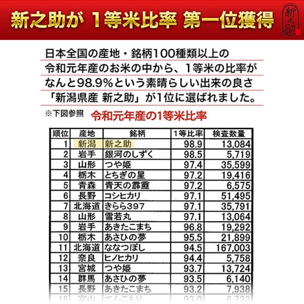 新米 白米 新潟県産 新之助 24kg 2kg×12袋 令和6年産