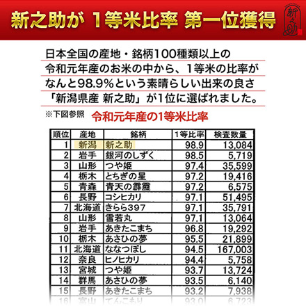 新米 白米 新潟県産 新之助 6kg 2kg×3袋 令和6年産