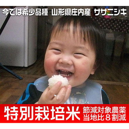 玄米 山形県庄内産 ササニシキ 6kg 2kg×3袋 特別栽培米 令和7年産