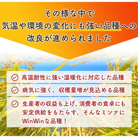 白米 おひさま米 栃木県産 とちぎの星 24kg 2kg×12袋 令和7年産
