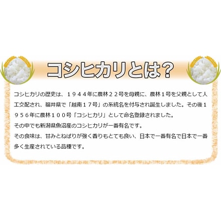 新米 白米 徳島県産 コシヒカリ 2kg 令和6年産