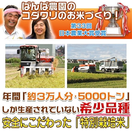 白米 石川県産 夢ごこち 24kg 2kg×12袋 特別栽培米 令和5年産