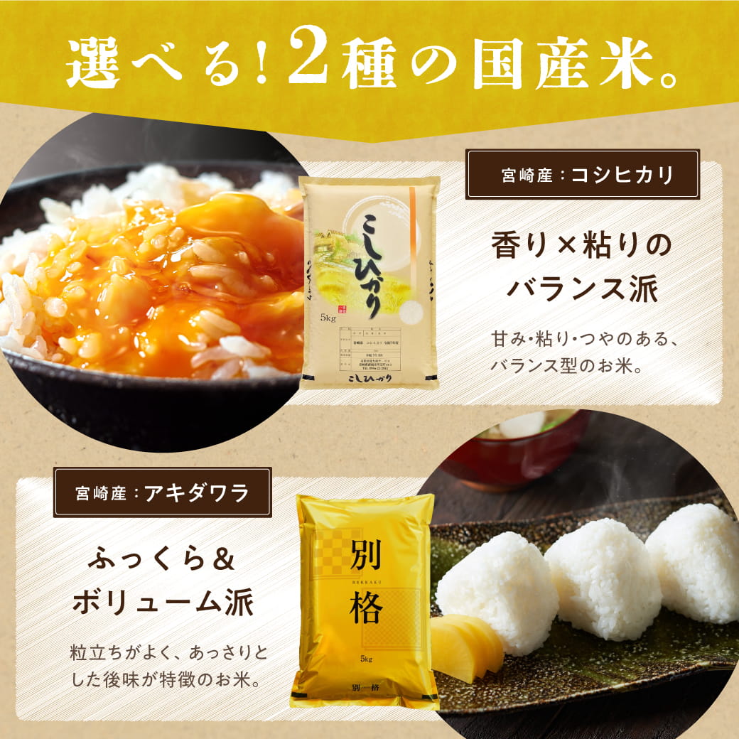 タマチャンショップ 宮崎産アキダワラ 精白米 10kg 令和7年産