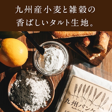 タマチャンショップ 九州チーズタルト 5本×10箱