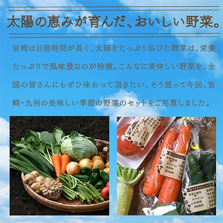 タマチャンショップ 九州野菜詰め合わせセット 13品