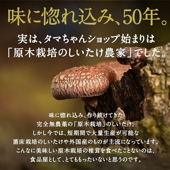 タマチャンショップ キノコッチ 霜降りひらたけ 30g×2袋