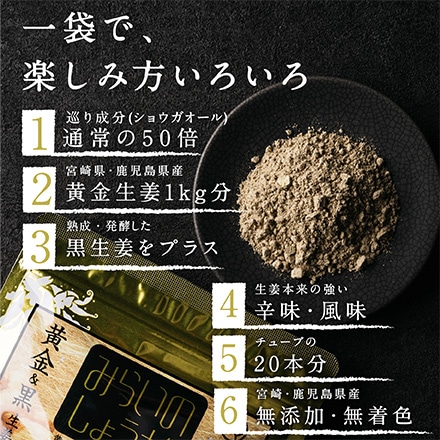 タマチャンショップ 生姜 粉末 みらいのしょうが 70ｇ