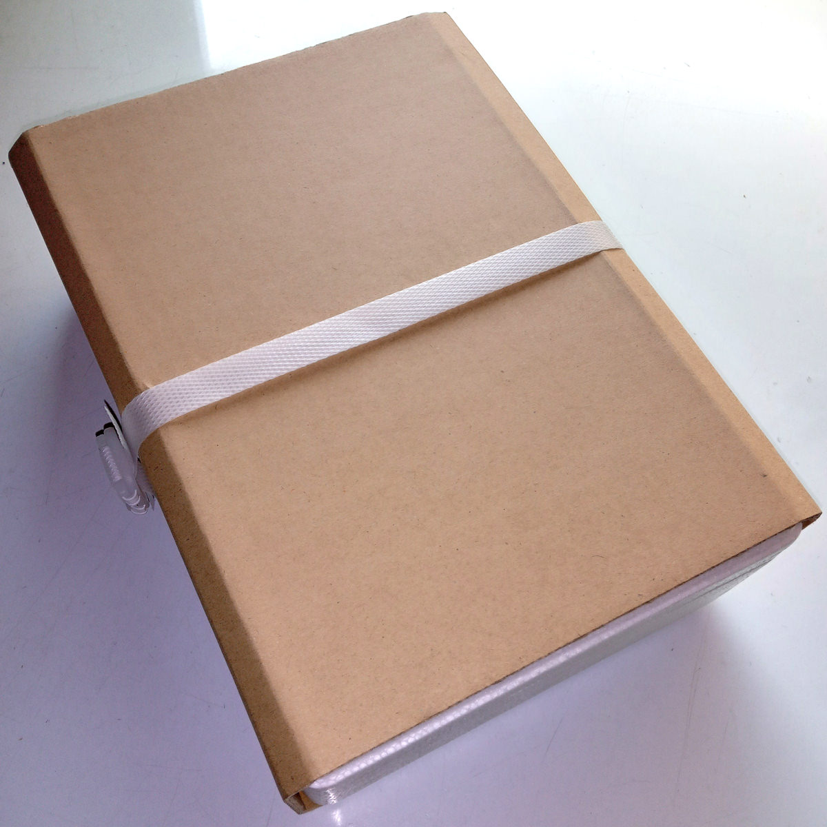 そのまま食べるシャインマスカット 〔120g×4〕 冷凍フルーツ【沖縄県・離島 配送不可】