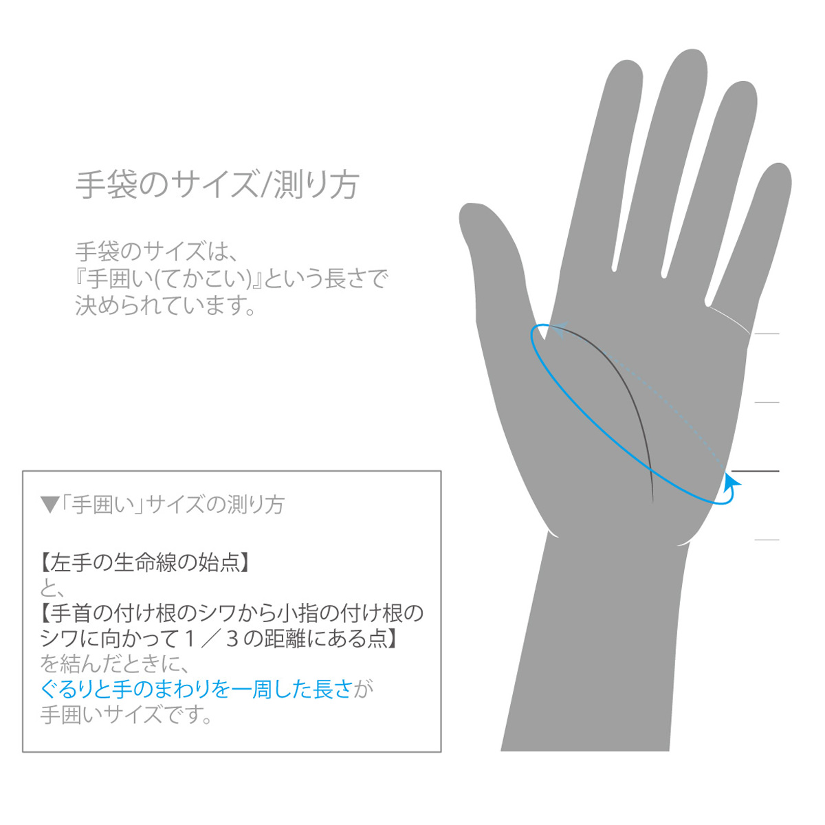 KURODA クロダ 男性用 MOON グローブ スクワラン加工 抗菌機能 タッチパネル対応 〔手囲いサイズ：24cm〕 手袋 HERRIN GY2