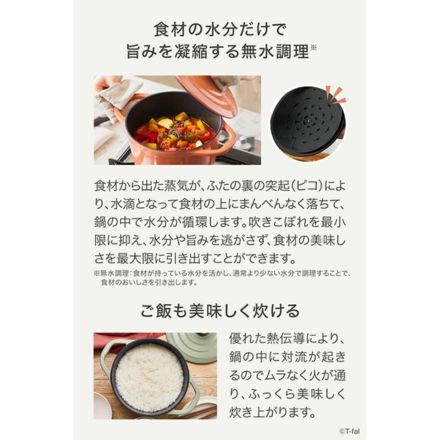 T-fal ティファール キャストライン エアココット IHココット鍋 20cm テラコッタ E26844
