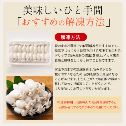 ボイル 甲イカ コウイカ