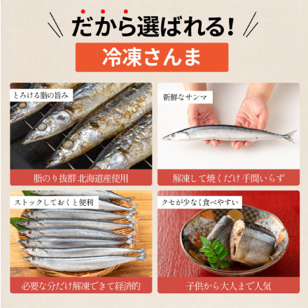 北海道産 秋刀魚 1kg（8本入り）