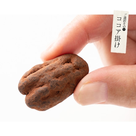 ピーカンナッツ チョコレート 100g（1袋） キャラメル掛け