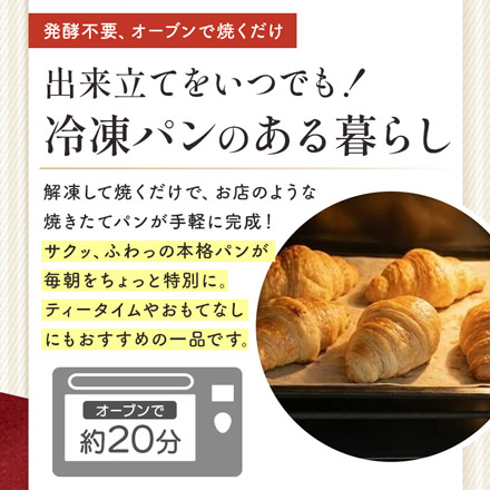 ミニ クロワッサン 冷凍パン 20個 フランス産