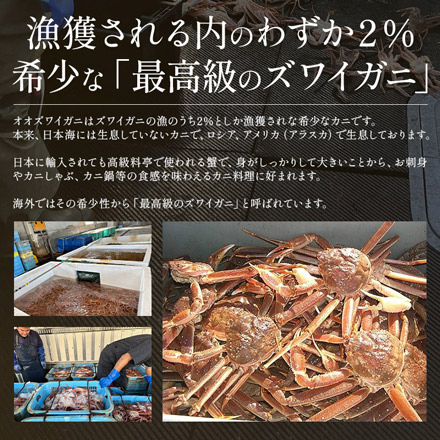 訳あり 北海道産 オオズワイガニ 姿 3kg （7-9尾入り） ボイル