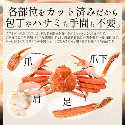 生食 ズワイガニ ポーション むき身 カット済み 1kg（総重量1.3kg） 5Lサイズ