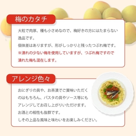 訳あり 紀州南高梅 梅干し 大粒 つぶれ梅 塩分3% しそ梅 低塩 400g