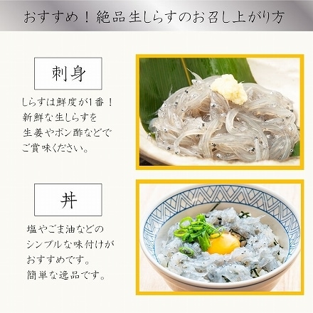 生しらす 兵庫県産 朝獲れ 生しらす 100g×5 500g