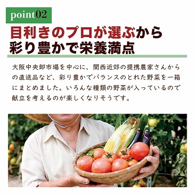 お任せ 野菜セット 約10種 旬のお野菜を楽しめる詰め合わせ