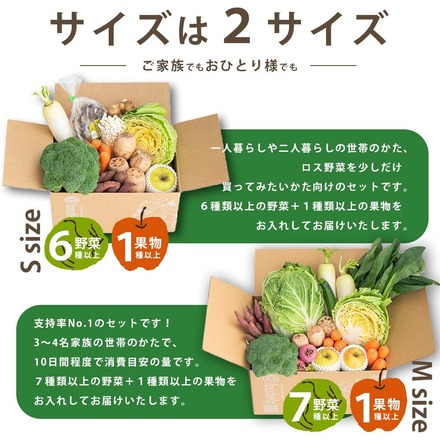 訳あり 食品 ロスヘル 野菜 果物 詰め合わせ セット 【合計7種類以上 約3-5kg 】規格外野菜 国産