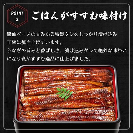うなぎ 蒲焼き 【 超特大サイズ 6尾 】 約1.5kg お中元 ギフト 簡易包装