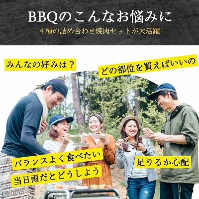 焼肉 BBQ セット 4種盛り 500g 約2人前 ハラミ カルビ ウィンナー