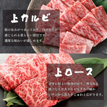 A4-5等級 鹿児島黒牛 特選 焼肉セット 厚切り 【 上カルビ 上ロース 】300g 焼肉 セット
