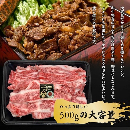 鹿児島黒牛 鹿児島牛 切り落とし 500g 大容量 牛肉 国産