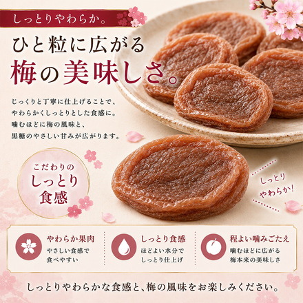 沖縄県産 加工黒糖使用 しっとり 種なし 干し梅 200g 個包装