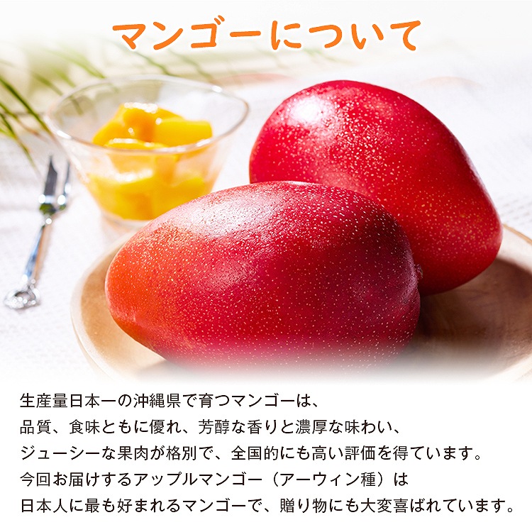 マンゴー 沖縄 完熟マンゴー 贈答用 1kg 2ー3玉 今帰仁村 ギフト あけのフルーツ アップルマンゴー アーウィン種 冷蔵便 同梱不可 指定日不可