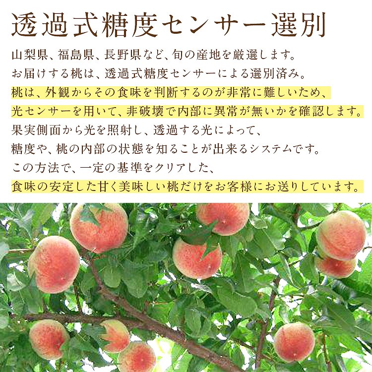 桃 ギフト 3.2kg (1.6kg×2箱セット) 青秀以上 品種厳選 産地厳選 お供え 手土産 贈答用 モモ もも フルーツ 冷蔵便 同梱不可 指定日不可