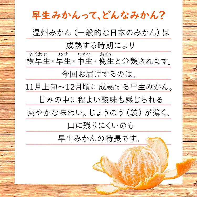 訳あり みかん 6.3kg (6kg+保証分300g程度) 3kgx2箱セット 和歌山県産 早生みかん 温州みかん ミカン 蜜柑 柑橘 わけあり 常温便 同梱不可 指定日不可