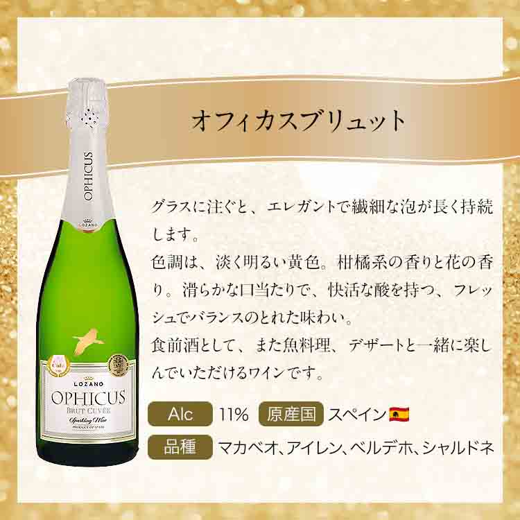 スパークリングワイン 4本 750ml×4 飲み比べセット