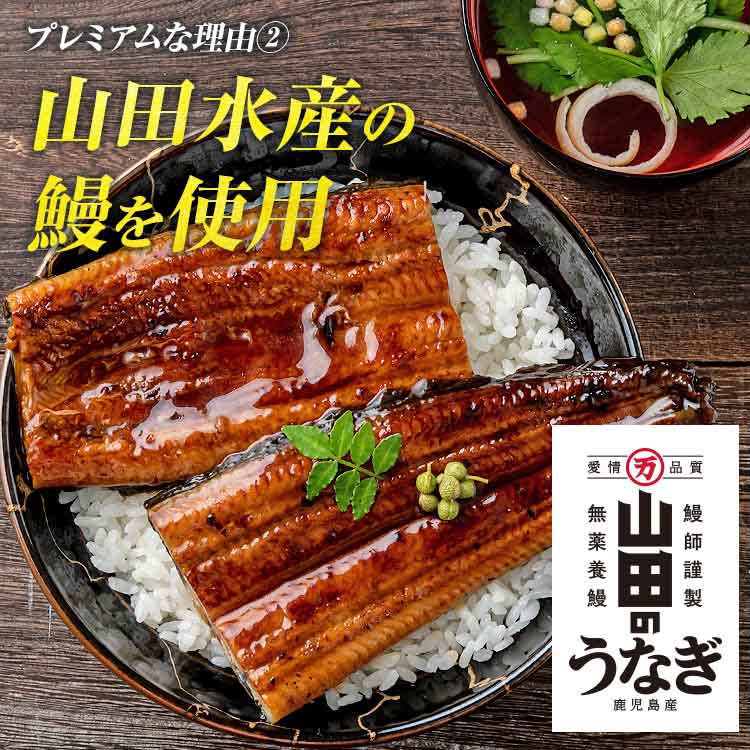 国産 鹿児島県産 うなぎ 無投薬 4尾 ( 約180g×4 )