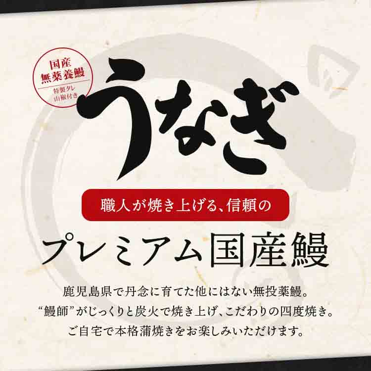 うなぎ 鹿児島県産 2尾 父の日BOX 父の日 125g×2 化粧箱入 国産 蒲焼き 長焼き 無投薬 焼き上げ 無頭 2本