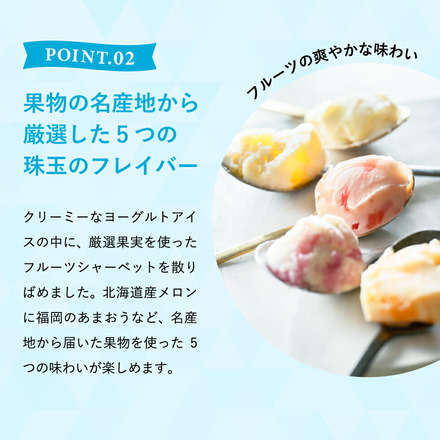中島大祥堂 凍らせて食べるアイスデザート6個（IDE-15/6号）