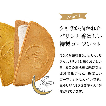 鎌倉半月 サービスパック[抹茶] 10枚入 鎌倉五郎 半月