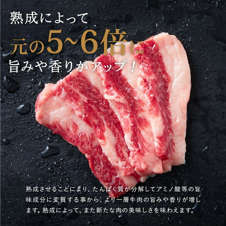 格之進 門崎熟成肉 焼肉セット（カルビ&モモ） 500g メーカー直送